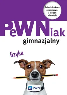 PeWNiak gimnazjalny Fizyka - Outlet - Katarzyna Kabzińska, Marta Włodarczyk