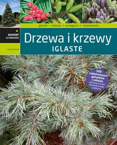 Drzewa i krzewy iglaste - Outlet - Lucjan Kurowski