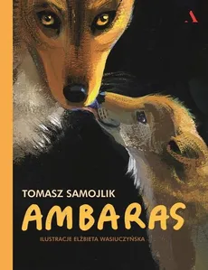 Ambaras - Outlet - Tomasz Samojlik