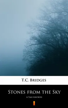 Stones from the Sky - T.C. Bridges, T.C. Bridges