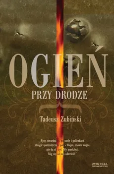 Ogień przy drodze - Tadeusz Zubiński