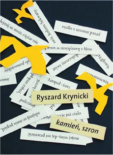 Kamień, szron - Ryszard Krynicki