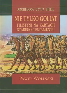 Nie tylko Goliat - Outlet - Paweł Woliński