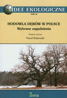 Hodowla dębów w Polsce - Paweł Rutkowski