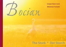 Bocian - Outlet - Gerek Grzegorz Hubert