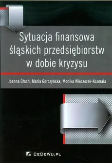 Sytuacja finansowa śląskich przedsiębiorstw w dobie kryzysu - Outlet - Joanna Błach, Maria Gorczyńska, Monika Wieczorek-Kosmala