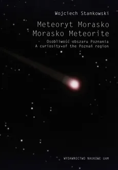 Meteoryt Morasko - Wojciech Stankowski