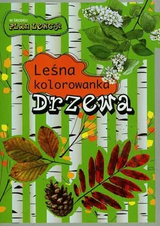 Drzewa Leśna kolorowanka - Outlet