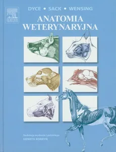 Anatomia weterynaryjna - Outlet - K.M. Dyce, W.O. Sack, C.J.G. Wensing