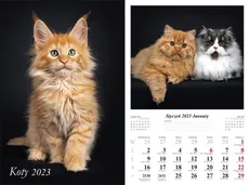 Kalendarz 2023 ścienny Koty
