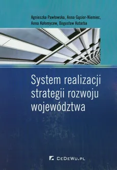 System realizacji strategii rozwoju województwa - Outlet - Anna Gąsior-Niemiec, Anna Kołomycew, Bogusław Kotarba, Agnieszka Pawłowska