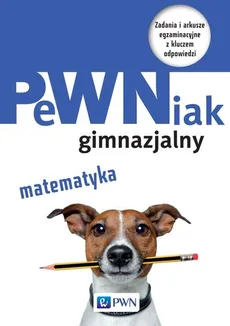 PeWNiak gimnazjalny Matematyka - Halina Juraszczyk, Renata Morawiec