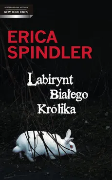 Labirynt Białego Królika - Erica Spindler