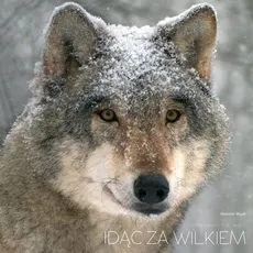 Idąc za wilkiem - Sławomir Wąsik
