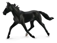 Koń rasy klusak amerykański maści czarnej XL