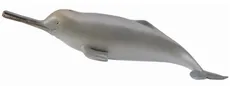 Delfin z rzeki Ganges