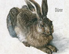 Albrecht Dürer - 5 reprodukcji w passe-partout