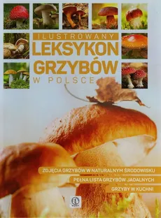 Ilustrowany leksykon grzybów w Polsce - Outlet - Jolanta Bąk, Wiesław Kamiński