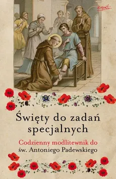 Święty do zadań specjalnych - Małgorzata Myrcha-Kamińska, Zdzisław Siedlecki
