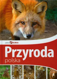 Piękna Polska Przyroda polska - Outlet