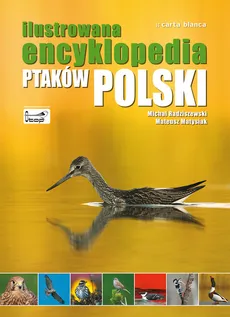 Ilustrowana encyklopedia ptaków Polski - Outlet - Mateusz Matysiak, Michał Radziszewski