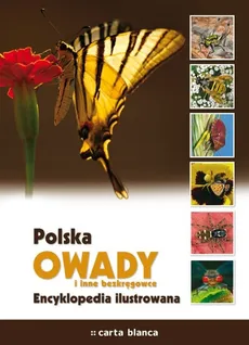 Polska Owady i inne bezkręgowce Encyklopedia ilustrowana