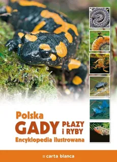 Polska Gady płazy i ryby Encyklopedia ilustrowana