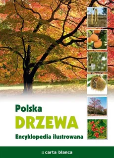 Polska Drzewa Encyklopedia ilustrowana