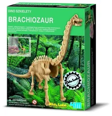 Dino szkielety Brachiosaurus
