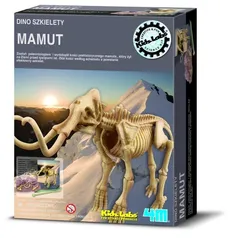 Dino szkielety Mamut