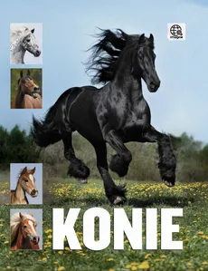 Konie - Karolina Wengerek