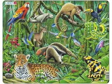 Las tropikalny Ameryki Południowej