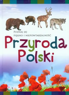 Przyroda Polski Poznaj jej piękno i niepowtarzalność