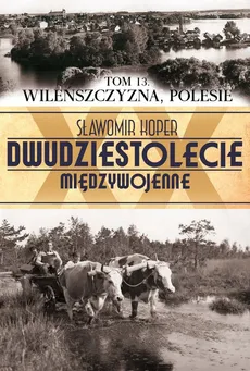 Wileńszczyzna Polesie Tom 13 - Outlet - Sławomir Koper