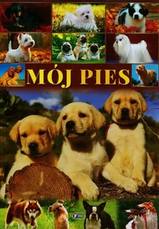 Mój pies - Outlet