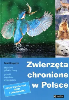 Zwierzęta chronione w Polsce - Outlet - Paweł Czapczyk