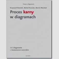 Proces karny w diagramach - Krzysztof Nowicki, Michał Rusinek, Marcin Warchoł