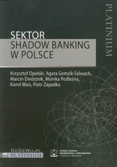 Sektor Shadow banking w Polsce - Outlet