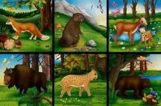 Klocki 16 elementowe Zwierzęta pól i lasów / zielone