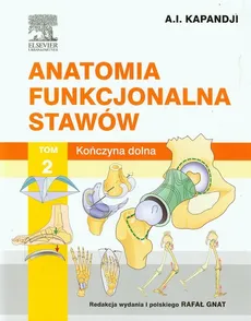 Anatomia funkcjonalna stawów Tom 2 Kończyna dolna - Adalbert Kapandji