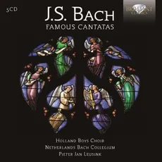 J. S. Bach: Famous Cantatas