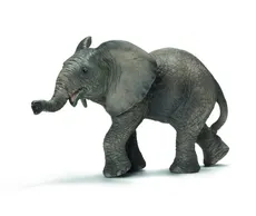 Słoń afrykański cielę