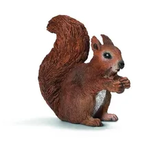 Jedząca wiewiórka
