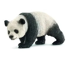 Panda olbrzymia
