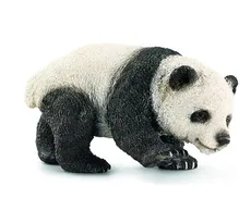 Młoda Panda Olbrzymia