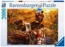 Puzzle Kąpiel tygrysów 2000