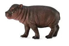 Hipopotam karłowaty młode S