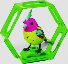 BigiBirds 3 z ramką Neon