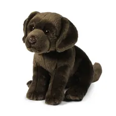 Labrador brązowy 26 cm