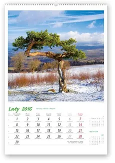 Kalendarz 2016 RW Pejzaże polskie - Outlet